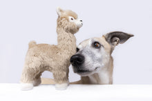 Load image into Gallery viewer, FLUFF &amp; TUFF INCA ALPACA 11&quot;
