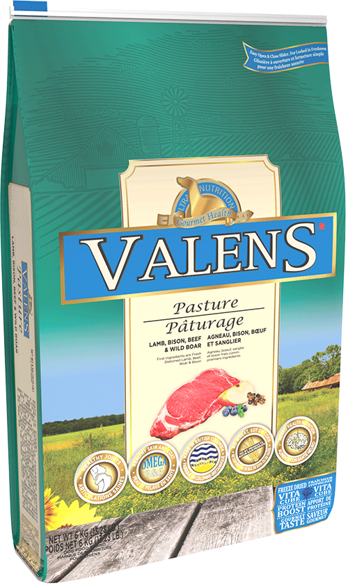 VALENS DOG LAMB/BEEF/BISON/BOAR 13LB