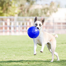 Load image into Gallery viewer, JOLLY PETS SOCCER BALL ORANGE 8&quot;
