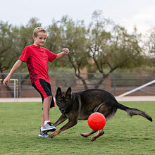 Load image into Gallery viewer, JOLLY PETS SOCCER BALL GREEN 8&quot;
